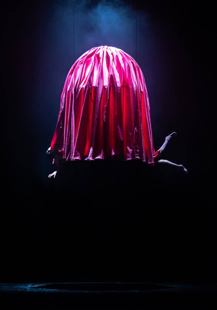 foto 03 Flamingo by Sylvain Guillot