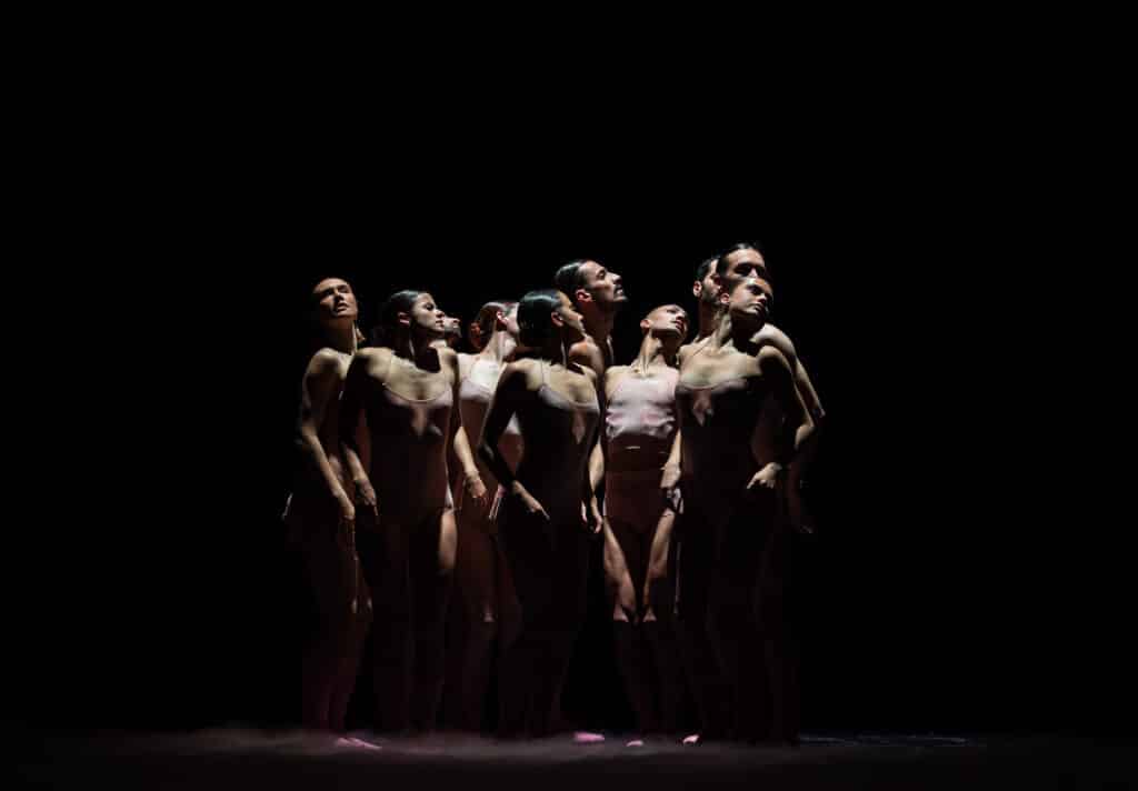 foto 15 Flamingo by Sylvain Guillot