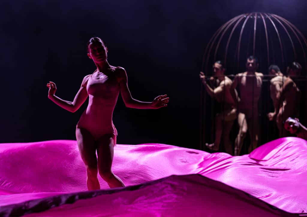 scenefoto Flamingo by Sylvain Guillot3